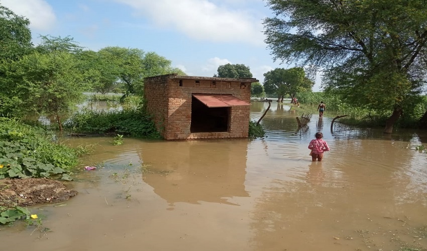 बुंदेलखंडः खतरे के निशान से उपर यमुना-बेतवा, दर्जनों गांवों में घुसा पानी