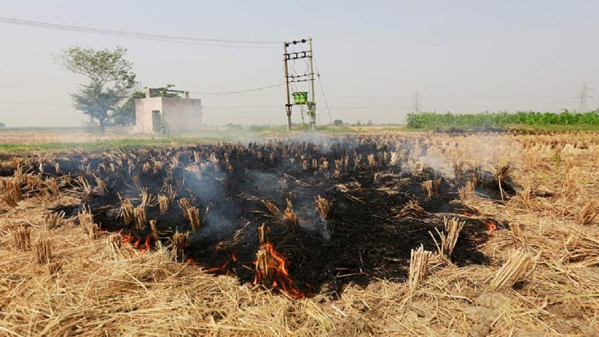 यूपी सरकार पराली पर सख्त, 178 किसानों पर FIR, 7 लेखपाल निलंबित