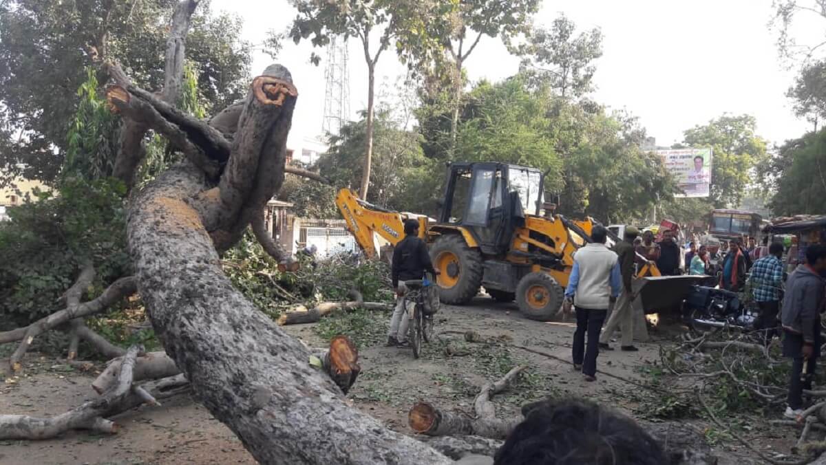 बांदा शहर में गिरा भारी भरकम पेड़, बत्ती गुल-हाईवे 4 घंटे से जाम
