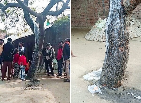सीतापुर में पेड़ से बह रही सफेद दूध जैसी जलधारा, लोगों ने पूजा शुरू की
