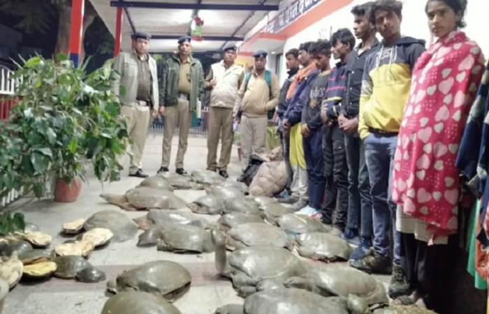RPF recovered rare species of turtles from express train in Kanpur
