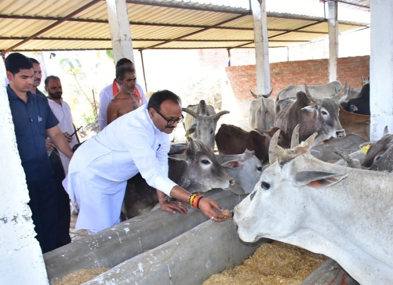 Deputy CM Brajesh Pathak saw the development work in Chitrakoot, gave instructions to keep cowshed in order 