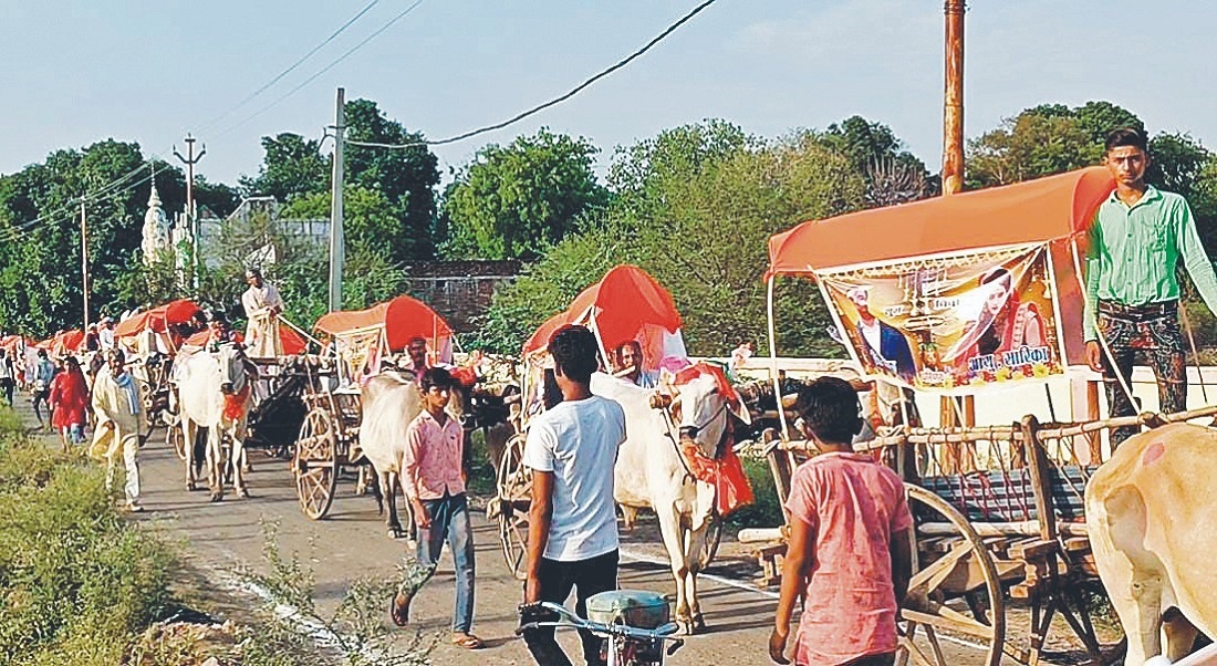 Unique wedding : groom king, horsemen also arrived with procession in 40 bullock carts 