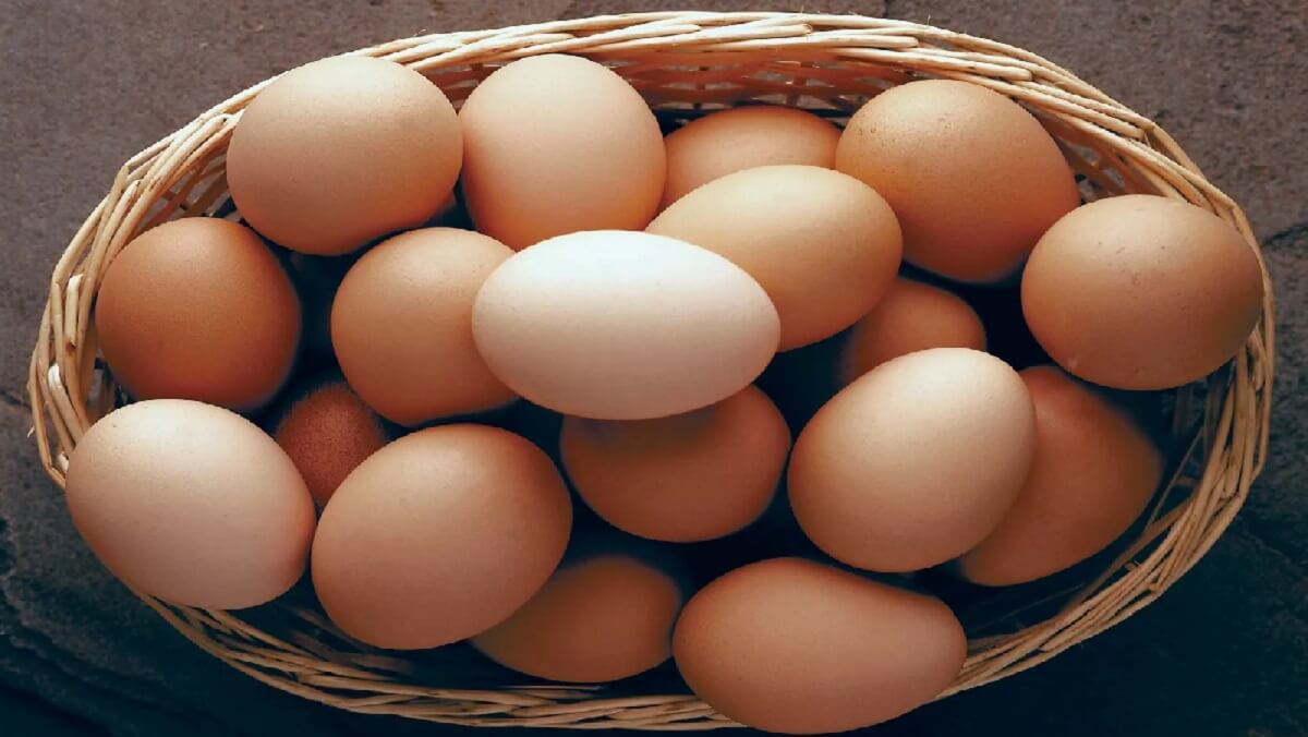 UP : Only son lost his life due to condition of eating whole boiled egg in one go