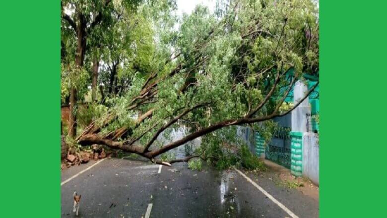 यूपी मौसम विभाग का अलर्ट, पूरब से पश्चिम तक प्रदेश के इन जिलों में आंधी-बारिश..