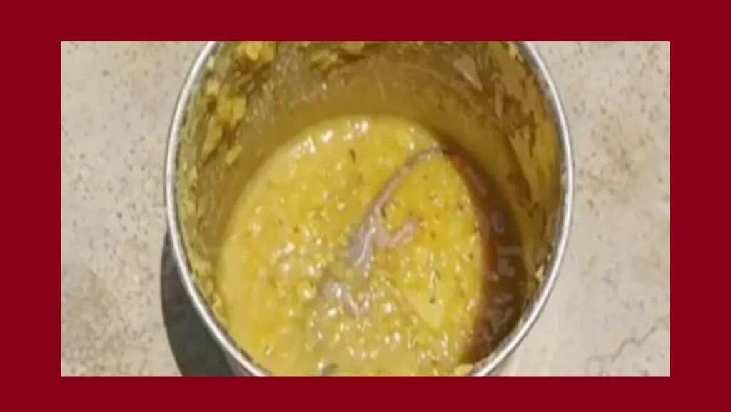 Lizard fell into cooking pulses in Banda