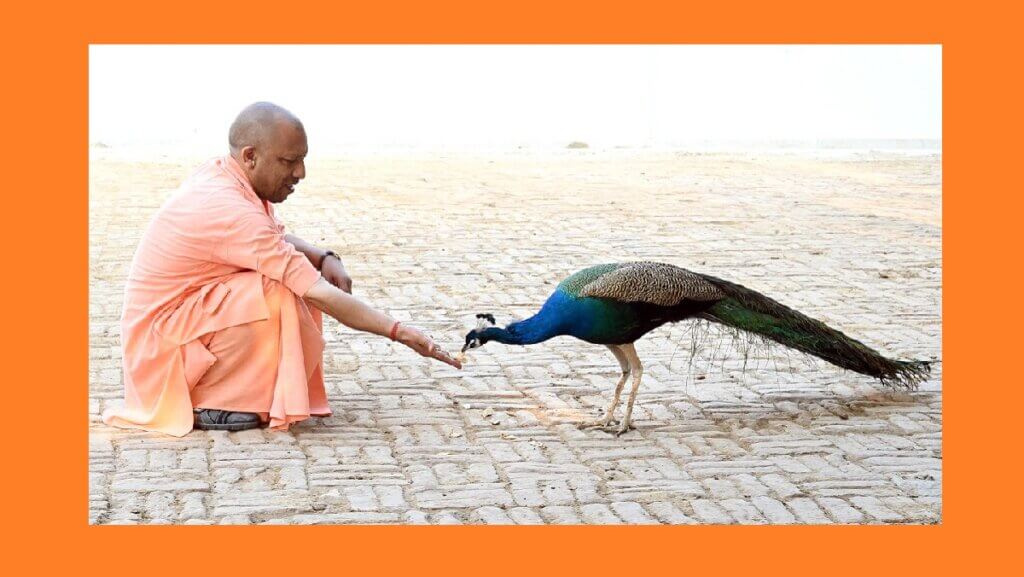 'Hit Anhit Pasu Pachchiu Jana..' This photo of Chief Minister Yogi is being liked a lot