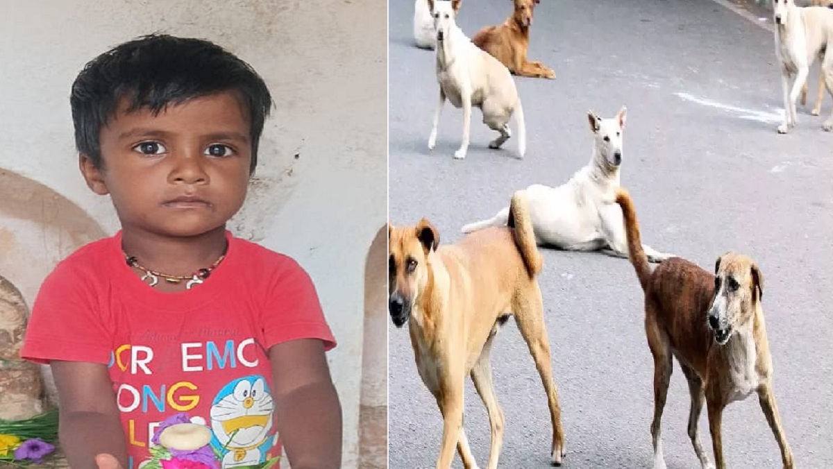 Painful: 4year old child was mauled to death by dogs attack in Banda