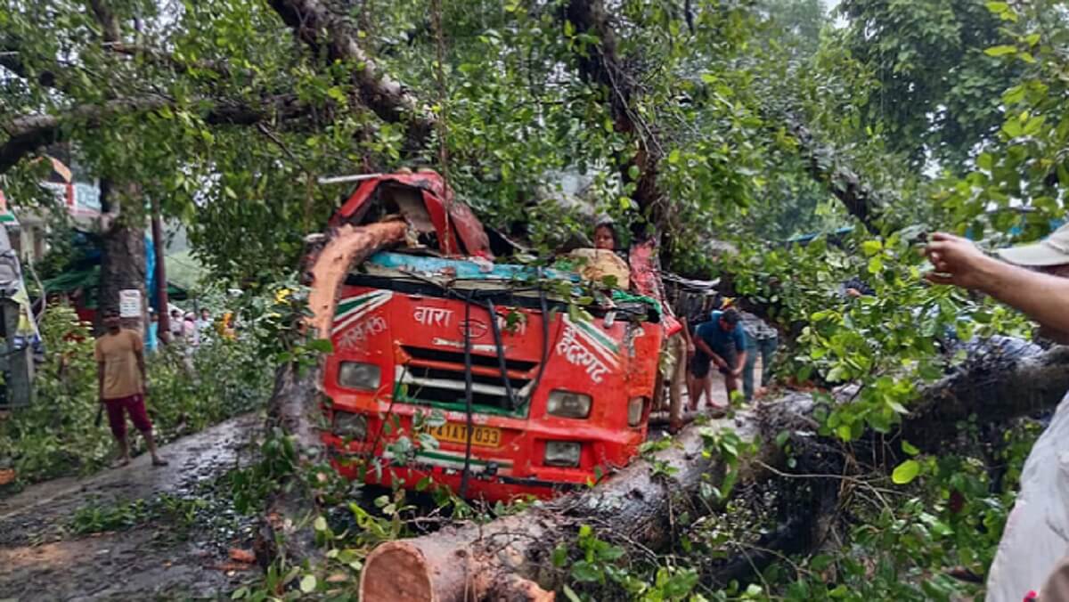 Tree falls on moving roadways bus in UP-five killed