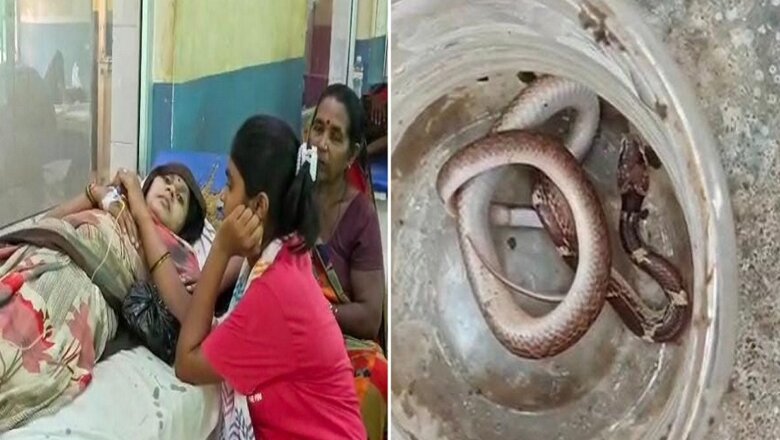 Banda: महिला को सांप ने काटा-गंभीर हालत में अस्पताल में भर्ती 