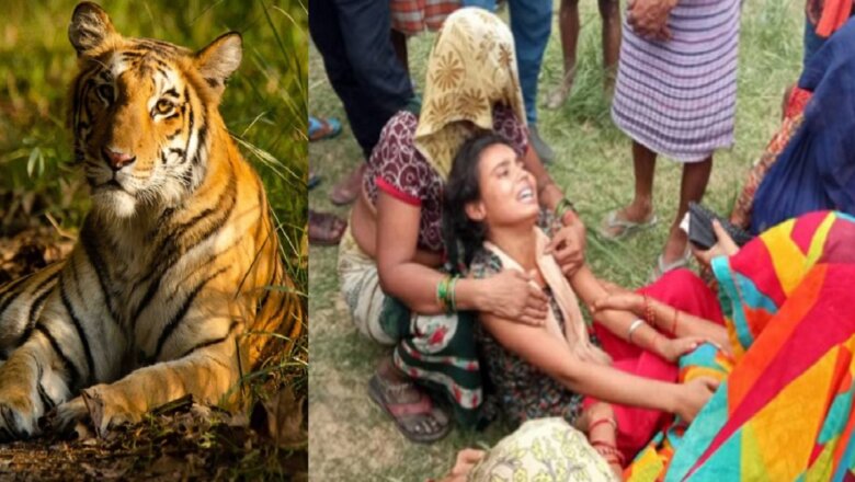सीतापुर में बाघ ने किसान पर हमला कर मार डाला-लोगों में फैली दहशत-वन विभाग टीम..