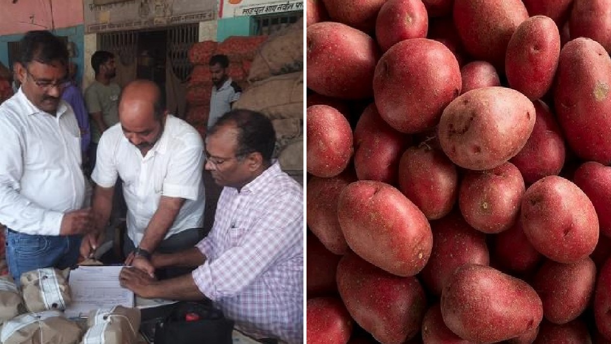 lucknow-be-careful-are-you-buying-potatoes-that-could-cause-cancer