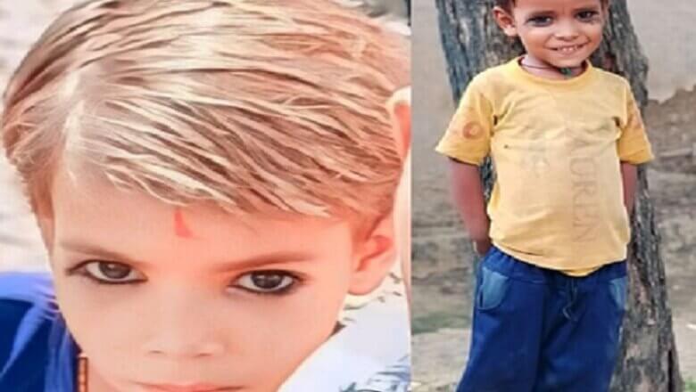 Hamirpur: Two innocent brother-sister died due to snake bite-chaos in family