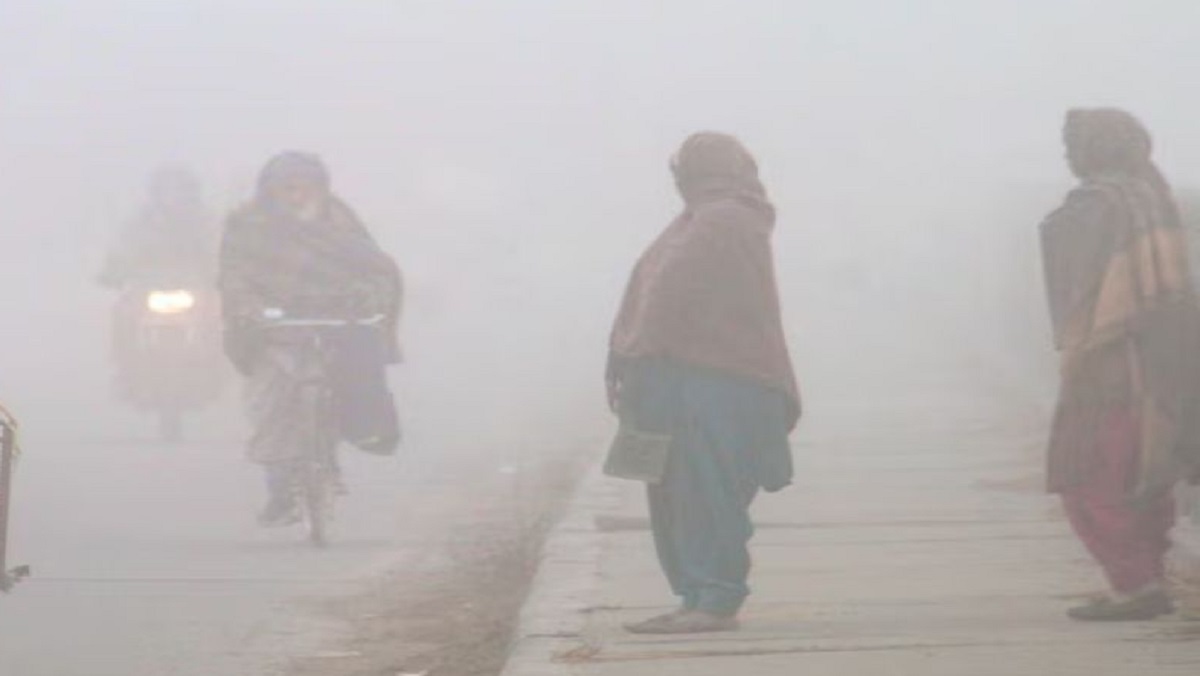 Weather Alert! Dense fog and cold wave warning issued