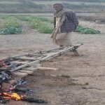 गुंडागर्दी: बांदा में वन कर्मियों ने गरीब किसान की बैलगाड़ी फूंकी-जांच शुरू