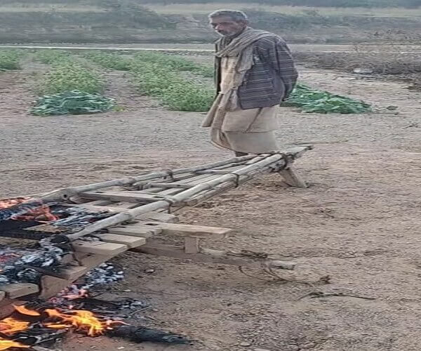 गुंडागर्दी: बांदा में वन कर्मियों ने गरीब किसान की बैलगाड़ी फूंकी-जांच शुरू