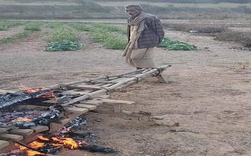 in Banda Forest officials hooliganism