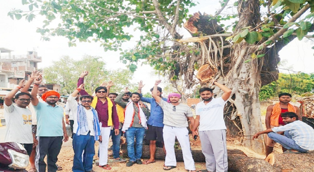 Banda City: Youth protest against felling of green trees