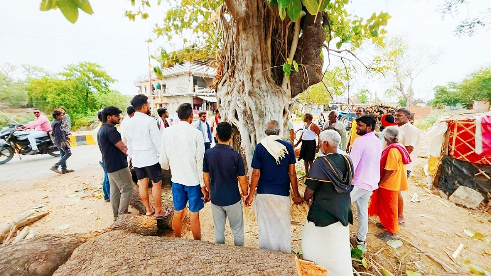 Banda City: Youth protest against felling of green trees