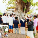 बांदा में चौड़ीकरण की आड़ में पेड़ों को काटने का विरोध