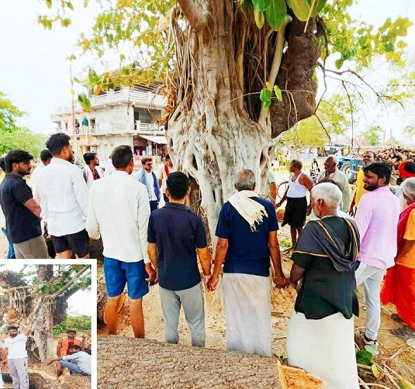बांदा में चौड़ीकरण की आड़ में पेड़ों को काटने का विरोध