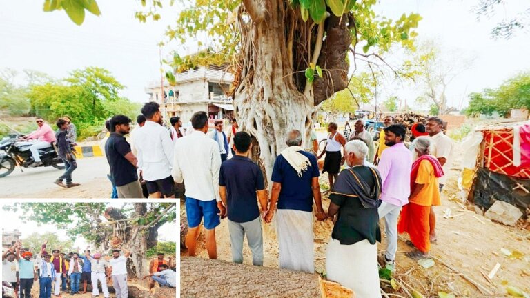 Banda City: Youth protest against felling of green trees