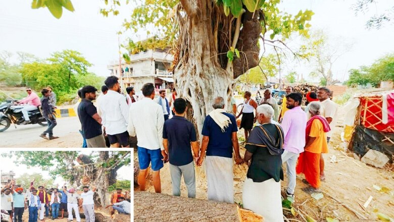 बांदा में चौड़ीकरण की आड़ में पेड़ों को काटने का विरोध