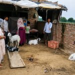 बांदा में घर के आंगन में गिरा हाईटेंशन विद्युत तार, बाल-बाल बचा परिवार और पशु