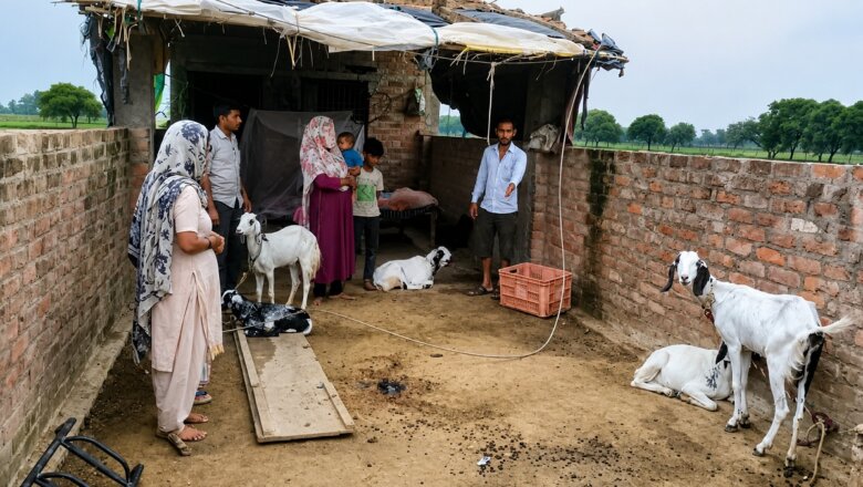 बांदा में घर के आंगन में गिरा हाईटेंशन विद्युत तार, बाल-बाल बचा परिवार और पशु