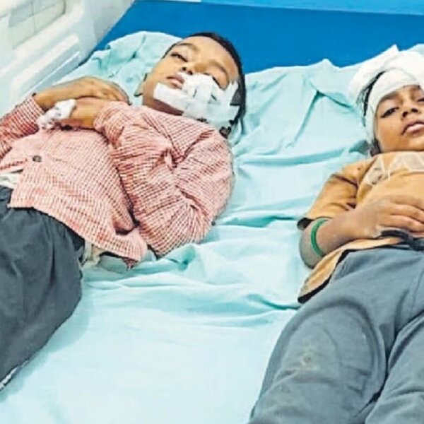चित्रकूट: स्कूल में घुसा पागल कुत्ता, दो बच्चों को काटकर किया घायल-हड़कंप मचा