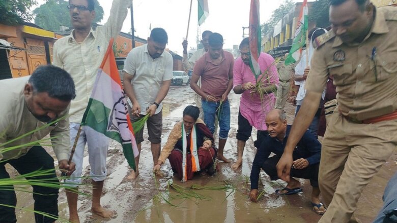 बांदा शहर की बदहाल सड़कों पर कांग्रेस का अनोखा प्रदर्शन, जलभराव में रोपा धान
