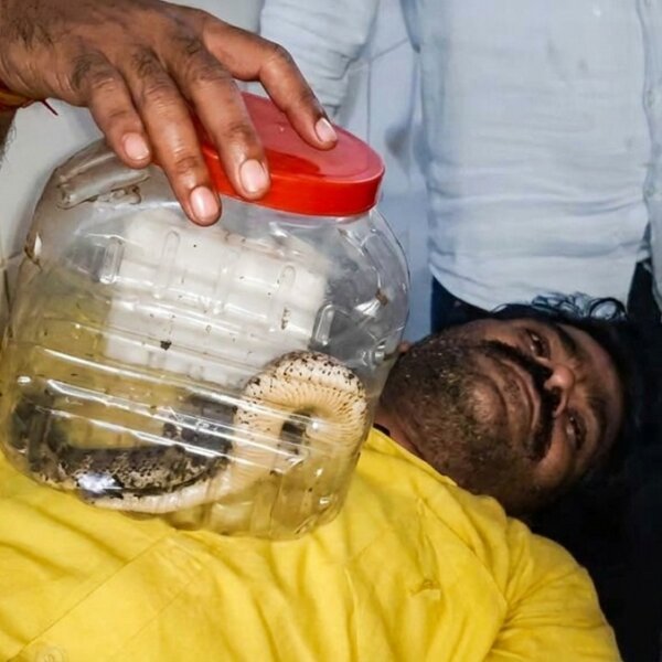 बांदा: जिस सांप ने काटा उसे पकड़कर अस्पताल पहुंचा-लोग हैरान 
