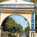 यूपी: डाॅक्टरों पर मधुमक्खियों का हमला, चपेट में कई अन्य लोग भी
