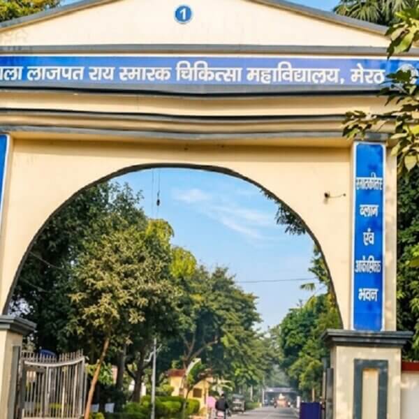 यूपी: डाॅक्टरों पर मधुमक्खियों का हमला, चपेट में कई अन्य लोग भी